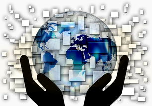 开云kaiyun-中国篮球教练员战术创新与应用案例分析，篮球教练基本战术